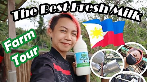 x cebu milker|@TheCebuMilker .
